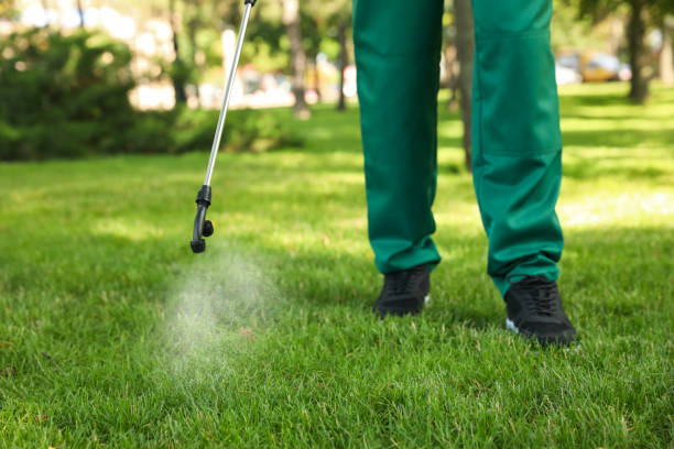 Best Best Pest Control Companies  in Mount Pleasant, MI