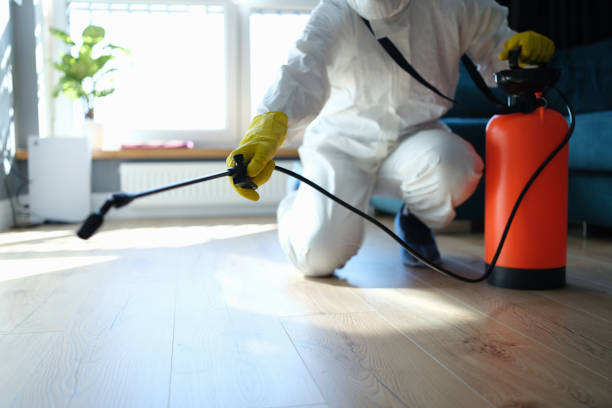 Best Mosquito Control Services  in Mount Pleasant, MI