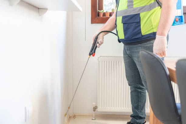 Trusted Mount Pleasant, MI Pest Control Experts