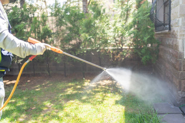 Best Pest Removal Services  in Mount Pleasant, MI