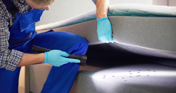Best Rat Extermination Near Me  in Mount Pleasant, MI