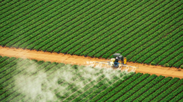 Best Pest Removal Services  in Mount Pleasant, MI