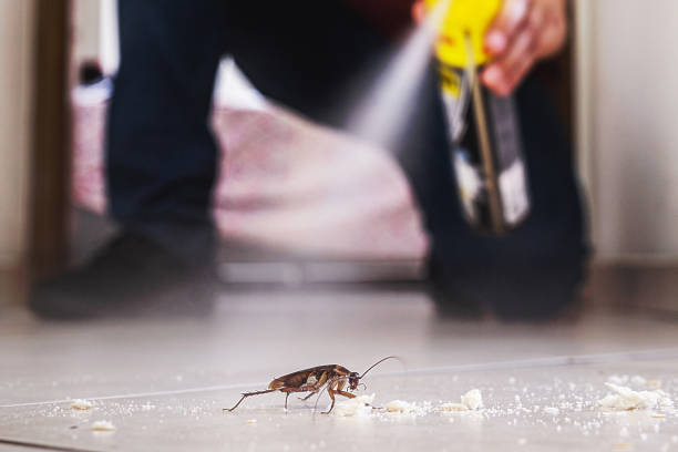 Wildlife Control Services in Mount Pleasant, MI