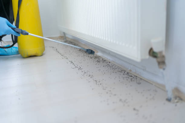 Best Commercial Pest Control Services  in Mount Pleasant, MI