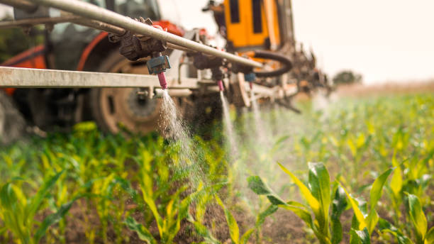 Best Wildlife Control Services  in Mount Pleasant, MI