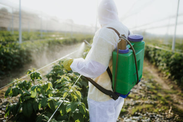 Best Bed Bug Extermination  in Mount Pleasant, MI